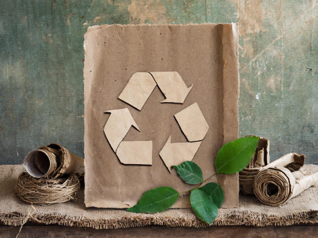 Geri Dönüşüm Nedir?